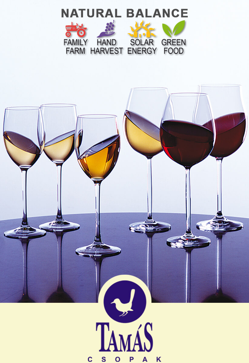 03_GermanPINCE_Iphon