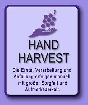 Hand Harvest Mylavendel